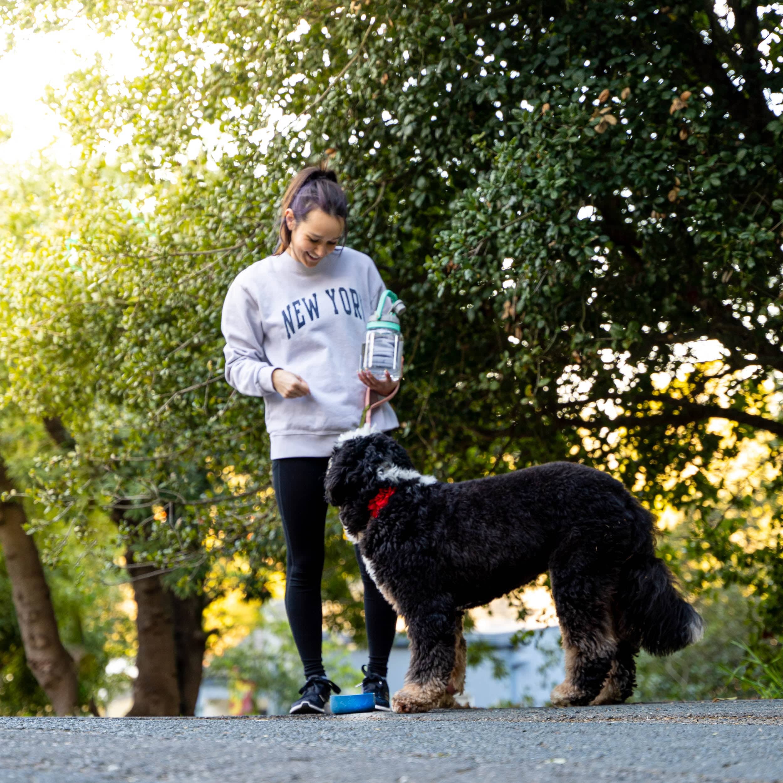 Asobu Trauki Ūdens pudele Asobu Barkley, 1L, TWB21 rozā